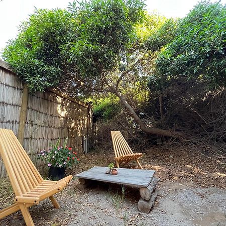 El Arbol Eco Lodge La Serena Dış mekan fotoğraf