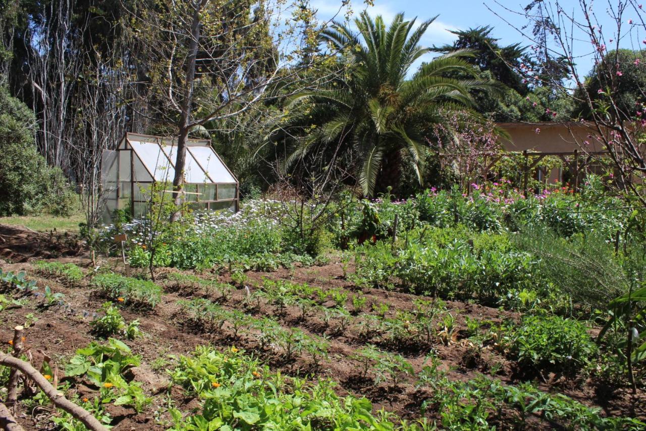 El Arbol Eco Lodge La Serena Dış mekan fotoğraf