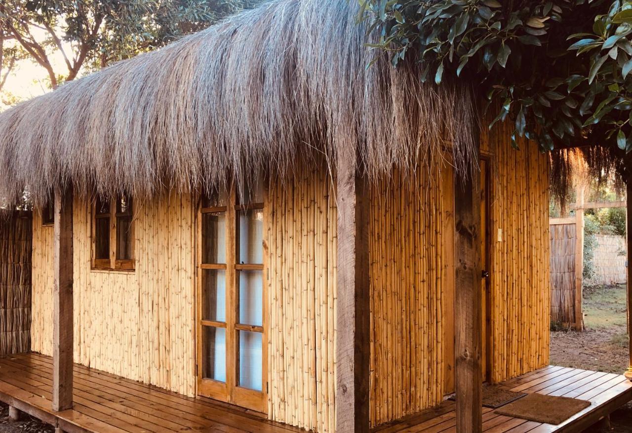 El Arbol Eco Lodge La Serena Dış mekan fotoğraf