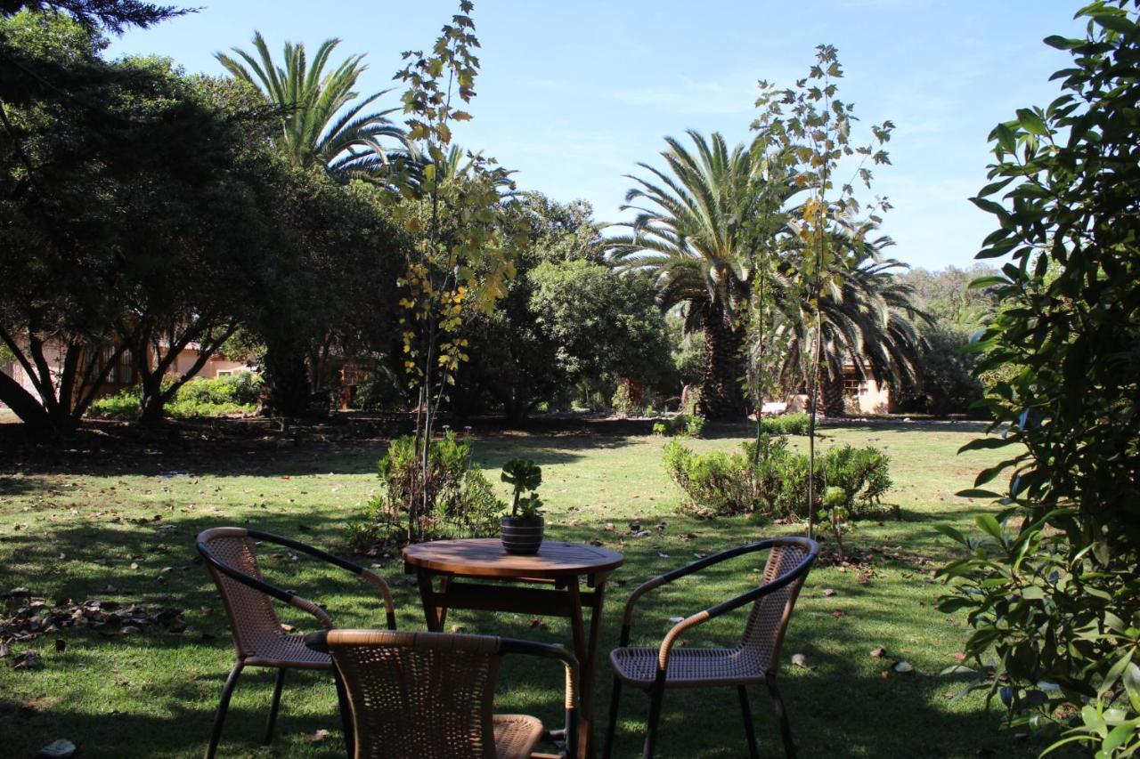 El Arbol Eco Lodge La Serena Dış mekan fotoğraf