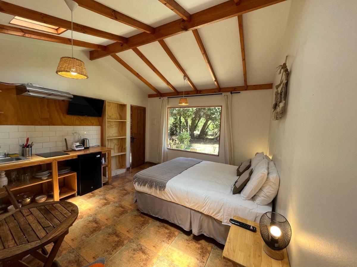 El Arbol Eco Lodge La Serena Dış mekan fotoğraf