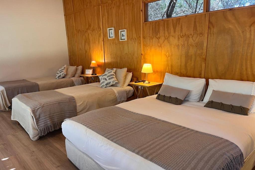 El Arbol Eco Lodge La Serena Dış mekan fotoğraf