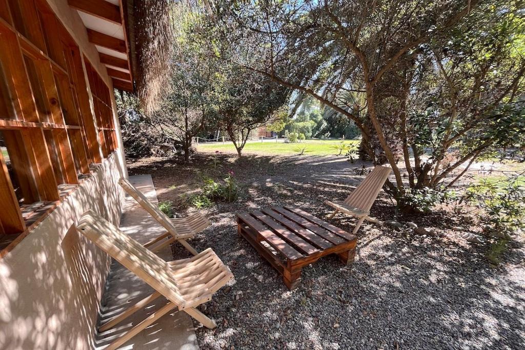 El Arbol Eco Lodge La Serena Dış mekan fotoğraf