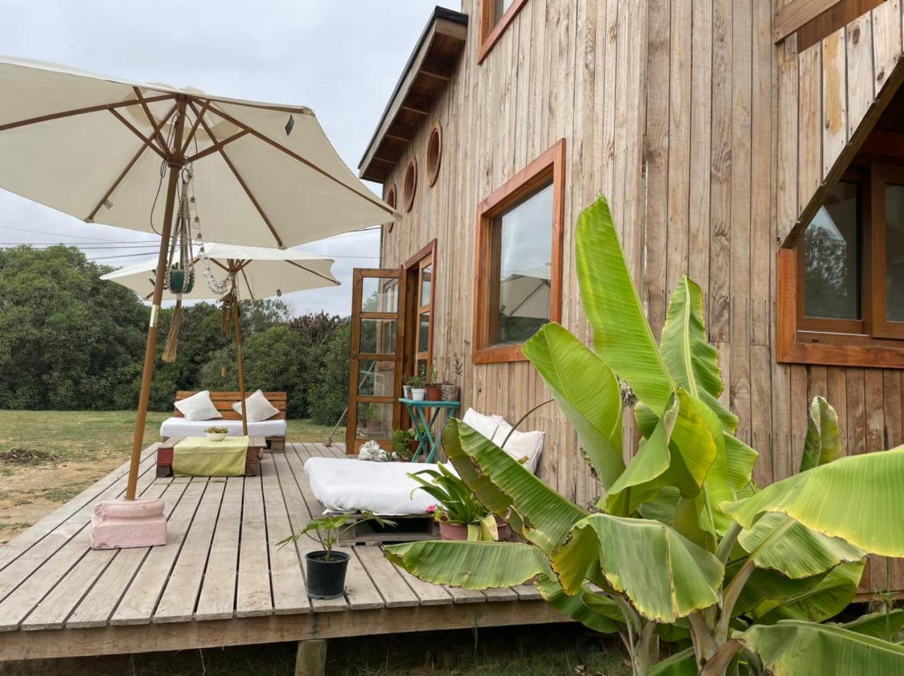El Arbol Eco Lodge La Serena Oda fotoğraf