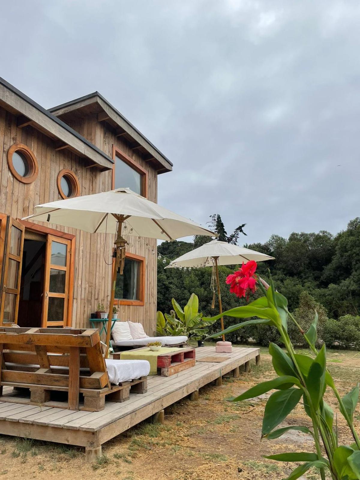 El Arbol Eco Lodge La Serena Oda fotoğraf