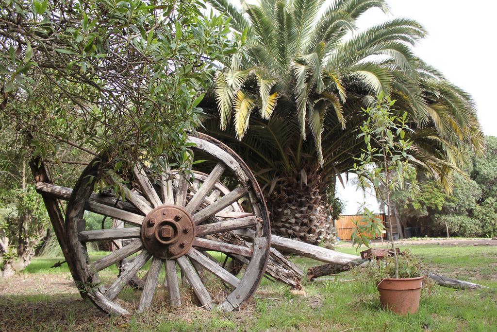 El Arbol Eco Lodge La Serena Dış mekan fotoğraf